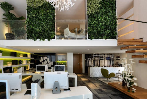 辦公室裝修中綠植是不可或缺的！爲什麽呢？