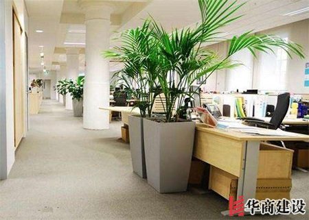 辦公室裝修的五大原則，原來要這樣設計！