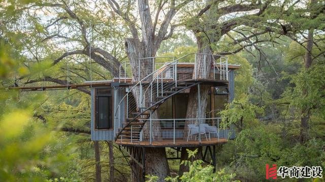 你敢住嗎，德克薩斯州中部“樹屋酒店”