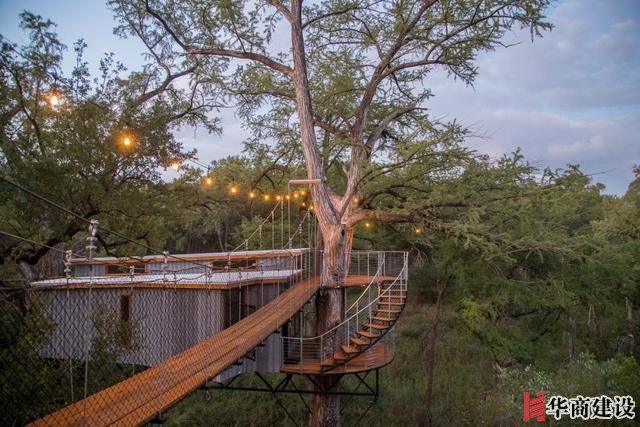 你敢住嗎，德克薩斯州中部“樹屋酒店”