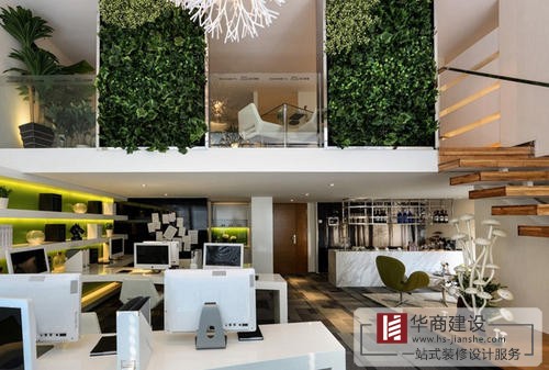 辦公室裝修中綠植是不可或缺的！爲什麽呢？